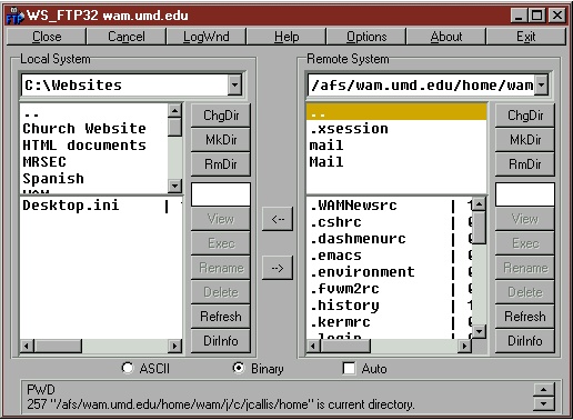 How to Make a Wam Website