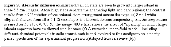 Text Box: Figure 3.  Atomistic diffusion on silicon-Small clusters are seen to grow into larger island in these 5.5 mm images.  Atom high steps separate the alternating light and dark regions; the contrast results from a 90� rotation of the ordered-atom arrangement across the steps. (a) Small white elliptical clusters form after 0.1 Si monolayer is adsorbed at room temperature, and the temperature is raised for 50 s to 670�C.  (b) the image  400 s later shows the effect of �ripening� in which larger islands appear to have swallowed smaller ones. (c) A numerical mean-field model , including different chemical potentials in cells around each island, evolved to this configuration, a nearly perfect prediction of the experimental progression (Adapted from reference [6].)

