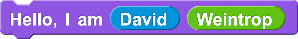 David Weintrop